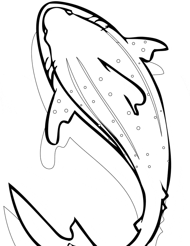 free Shark coloring page