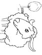 Sheep coloring page