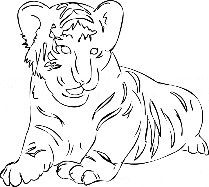 free Siberean Tiger coloring page