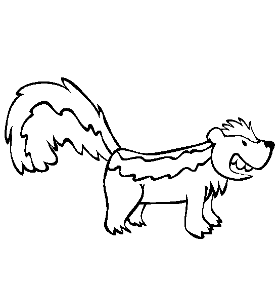 free Skunk coloring page