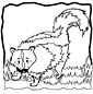 Skunk coloring page