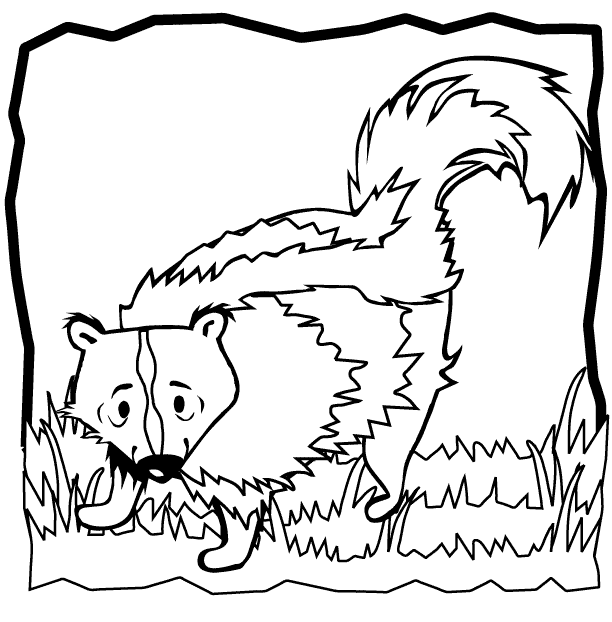 free Skunk coloring page