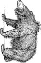 Sloth Bear coloring page