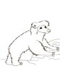 Sloth Bear coloring page
