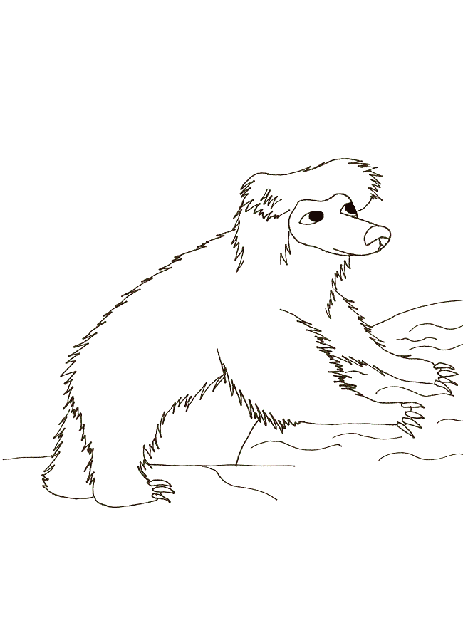 free Sloth Bear coloring page