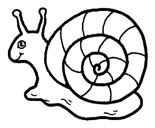 free Snail coloring page