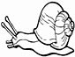 Snail coloring page
