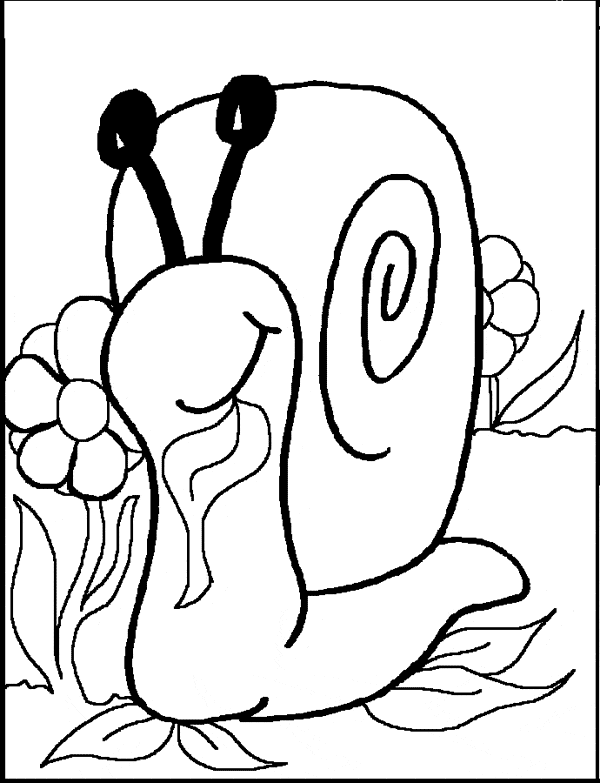 free Snail coloring page