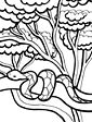 Snake coloring page