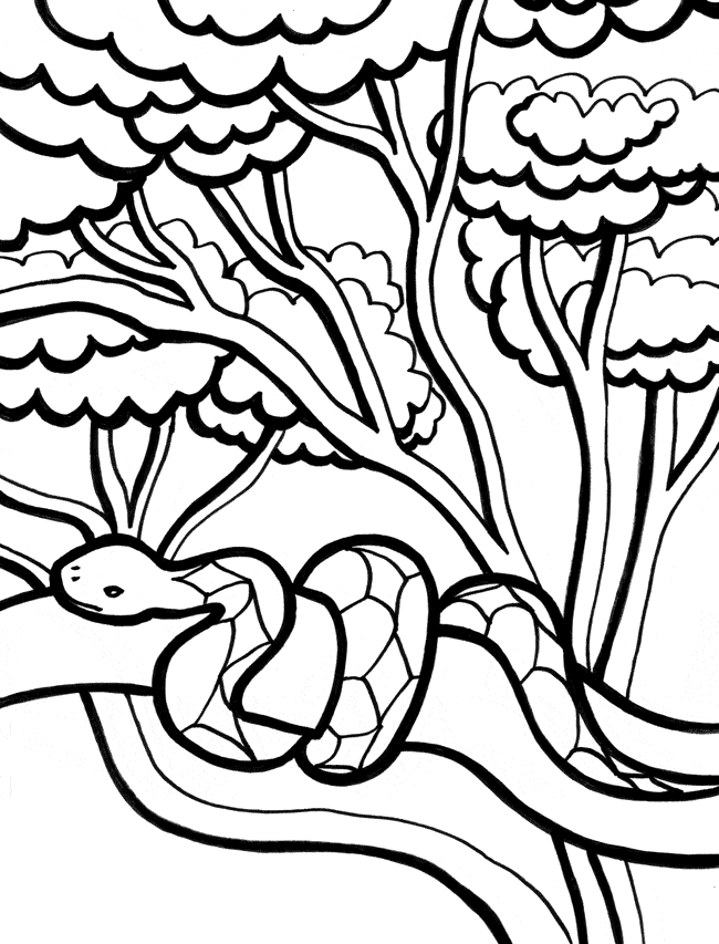 free Snake coloring page