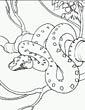 Snake coloring page