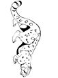 Snow Leopard coloring page
