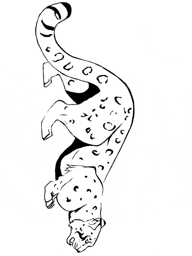 free Snow Leopard coloring page