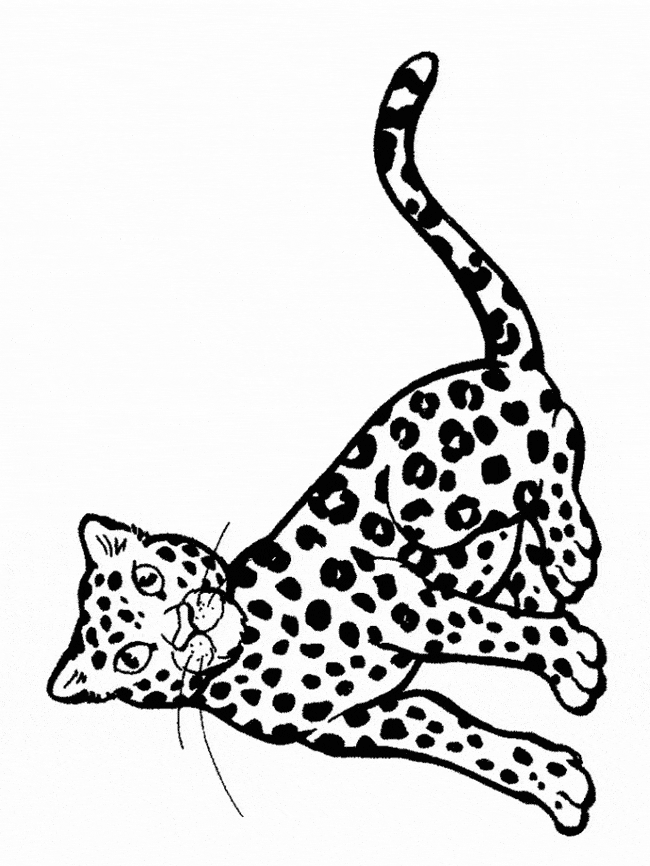 free Snow Leopard coloring page