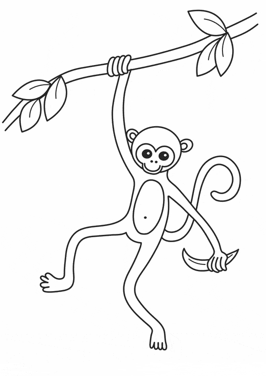 free Snow Monkey coloring page