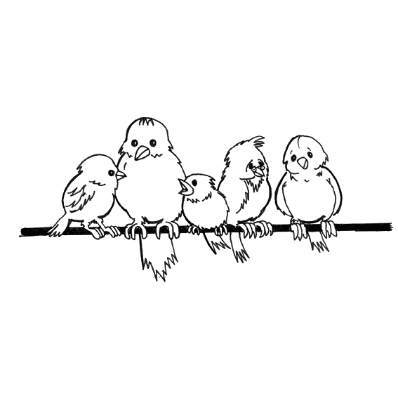 free Sparrow coloring page