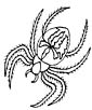 Spider coloring page