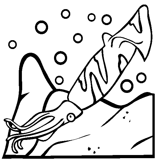 free Squid coloring page