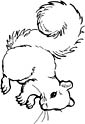 Squirrel coloring page