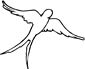 swallow coloring page