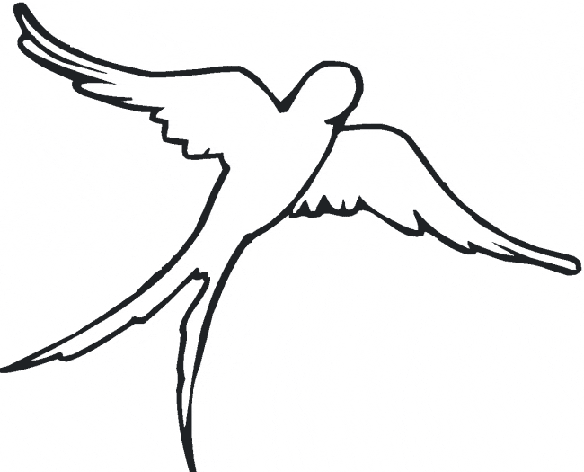 free Swallow coloring page