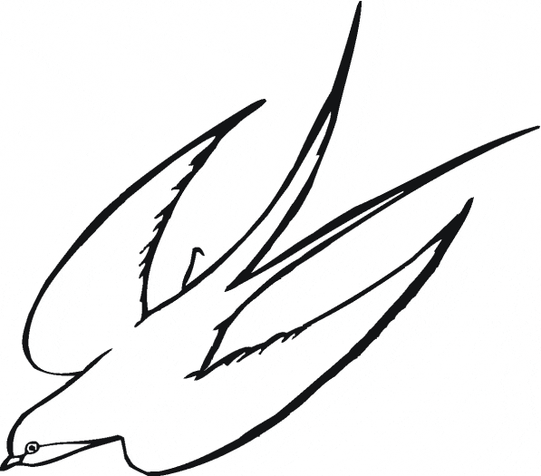 free Swallow coloring page