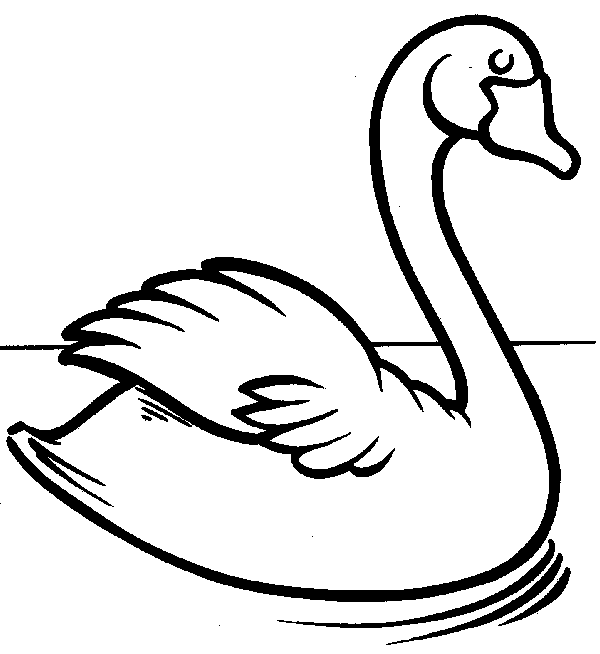 free Swan coloring page