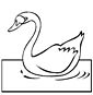 swan color page