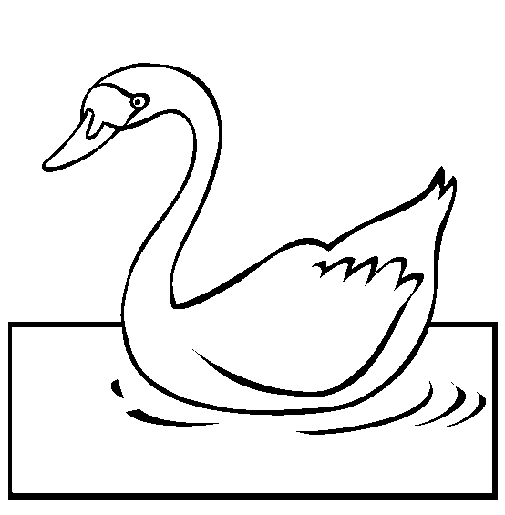 Swan coloring page - Animals Town - Free Swan color sheet