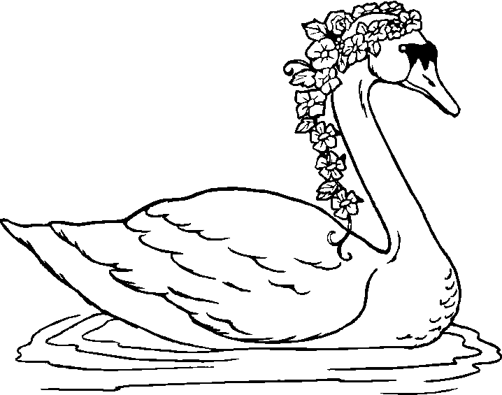 free Swan coloring page