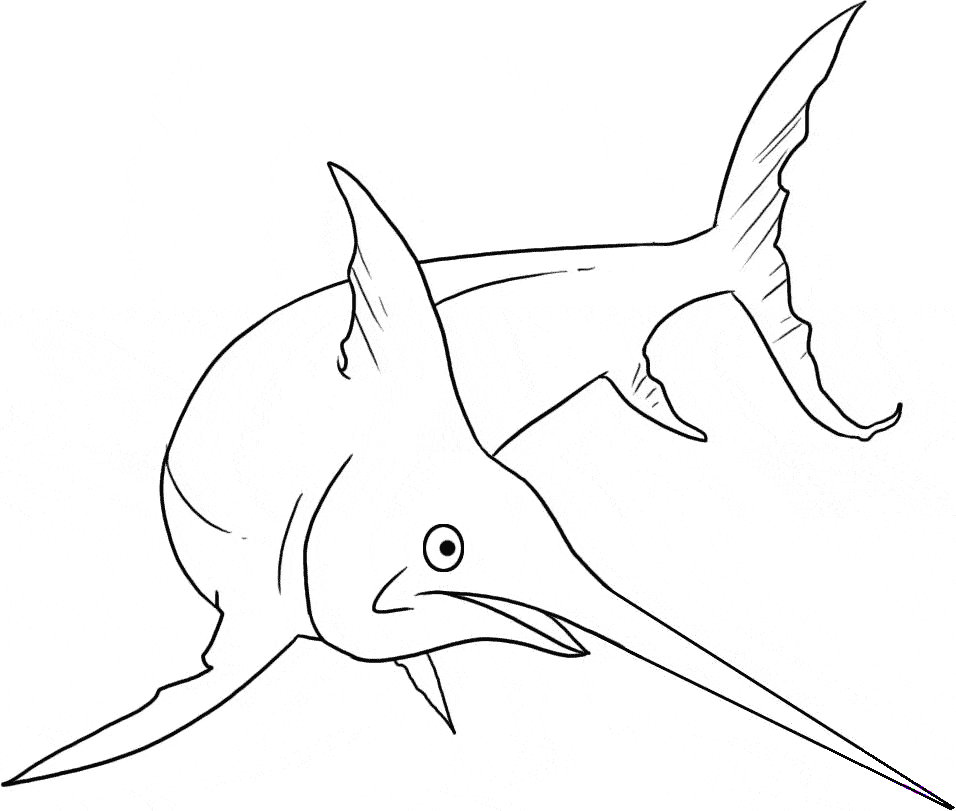 free Swordfish coloring page