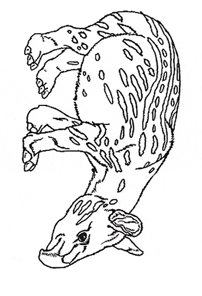 free Tapir coloring page