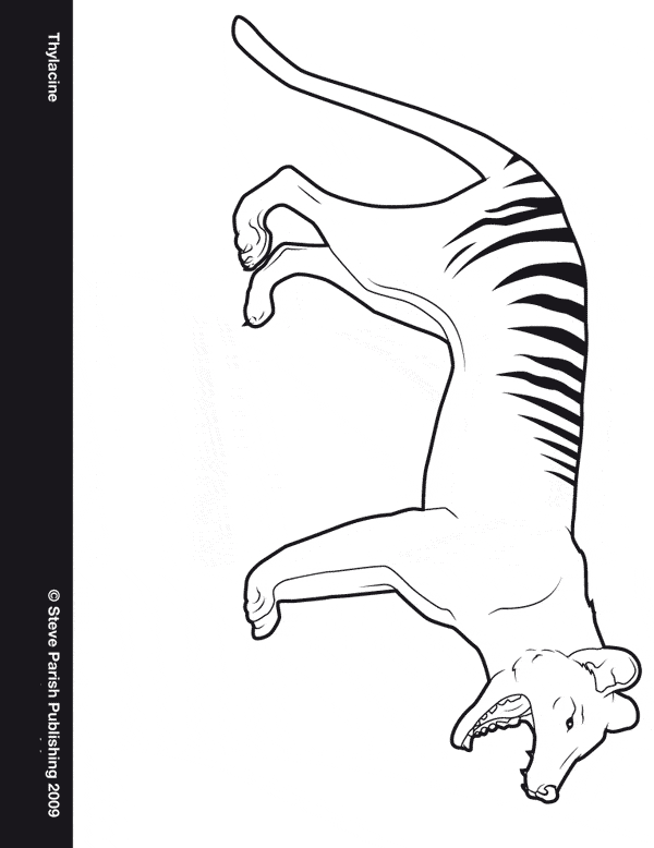 free Thylacine coloring page