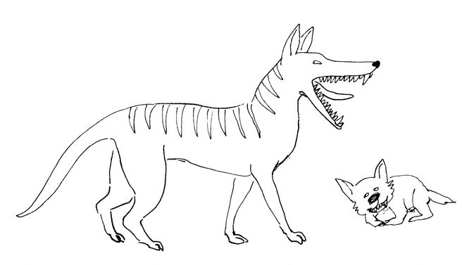 free Thylacine coloring page