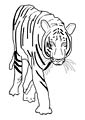 tiger coloring sheet