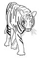 Tiger coloring page