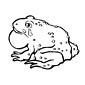 Toad coloring page