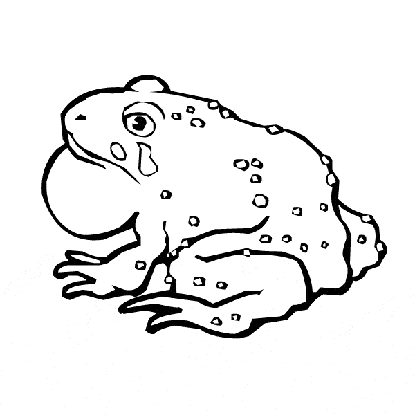 free Toad coloring page
