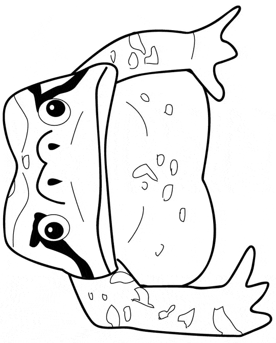 free Toad coloring page