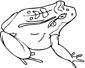 Toad coloring page