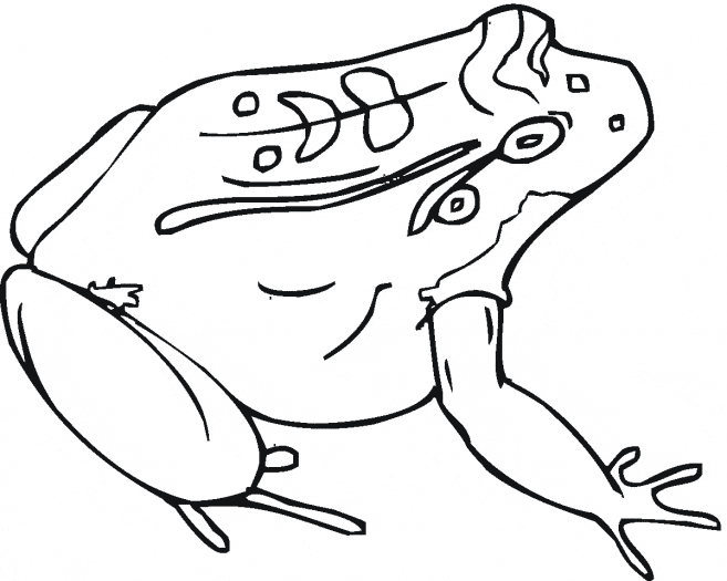 free Toad coloring page