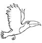 Tucan coloring page