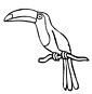 Tucan coloring page