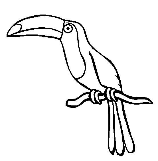 free Tucan coloring page