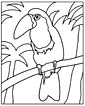 printable tucan coloring page