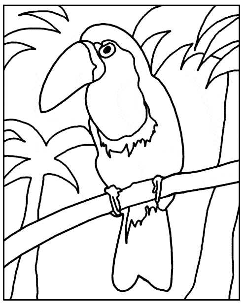 free Tucan coloring page