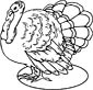 Turkey coloring page