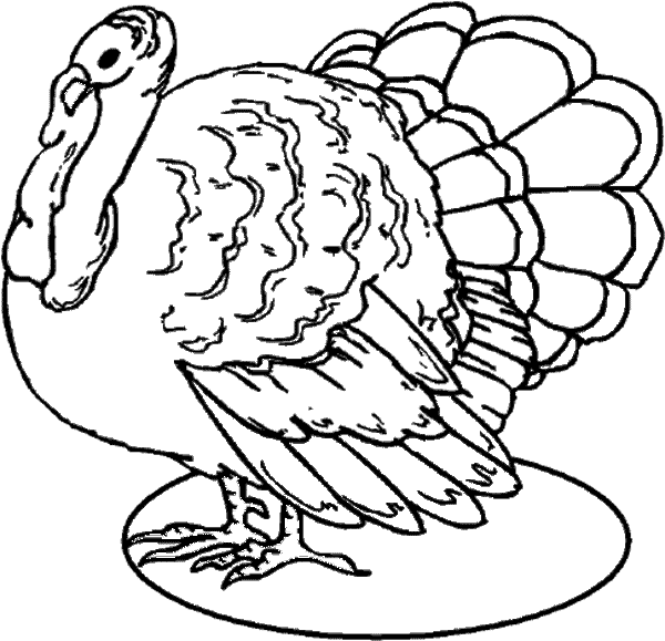 free Turkey coloring page