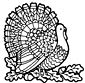 Turkey coloring page