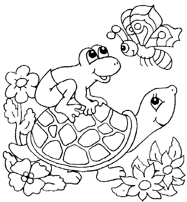 free Turtle coloring page